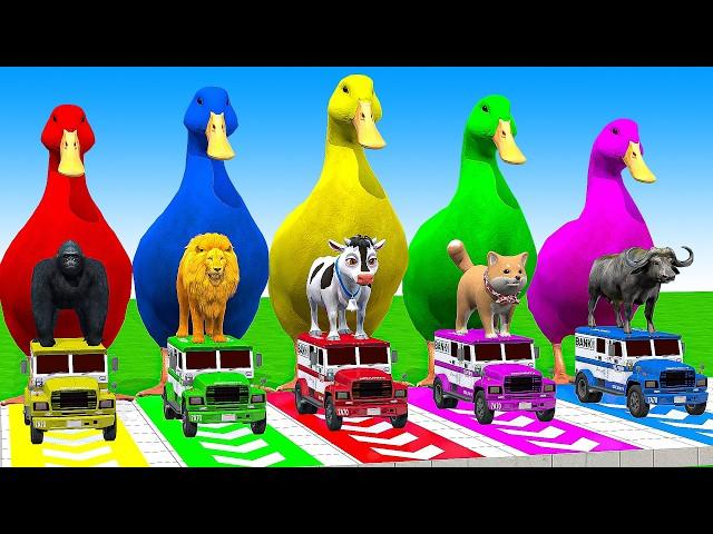 5 Giant Duck Cartoon, Cow, Mammoth, Elephant, Lion, Paint Wild Animals Crossing Fountain Animation