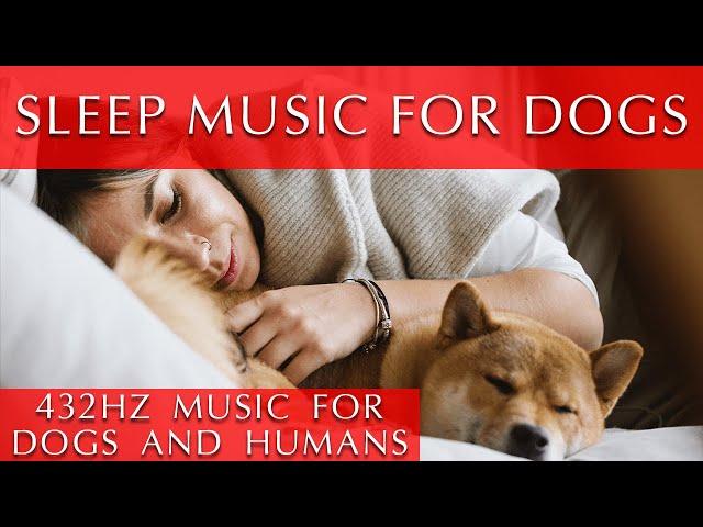 Dog and Human Sleep Music 11 Hours [432 Hz]