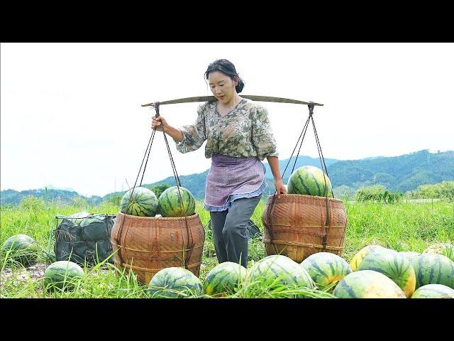 Watermelon Feast | When I was a child, sweetened my whole summer with a cattail fan and watermelons.