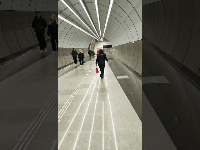 ТАМАРА ШИК