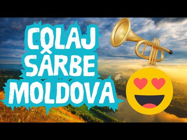 COLAJ SUPER SÂRBE MOLDOVENEȘTI  SÂRBA LA TROMPETĂ  MUZICĂ MOLDOVENEASCĂ DE PETRECERE HIT NEW TOP