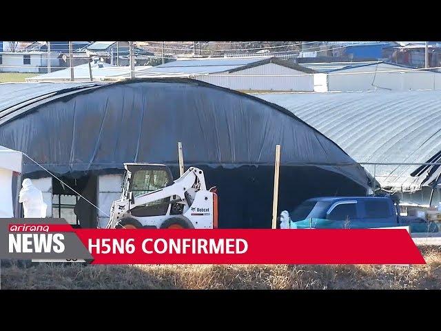 Suspected avian influenza case in Pocheon Gyeonggi-do Province confirmed to be H5N6