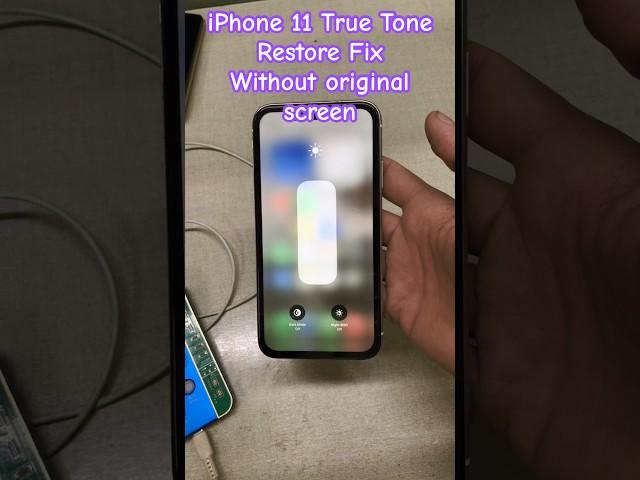 iPhone 11 True Tone restore without original screen #iphoneicloudbypass #gsmtaimurteam #turetonefix