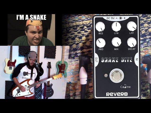 Caline Snake Bite Reverb Demo/Review. My Favorite Cheap Reverb!!