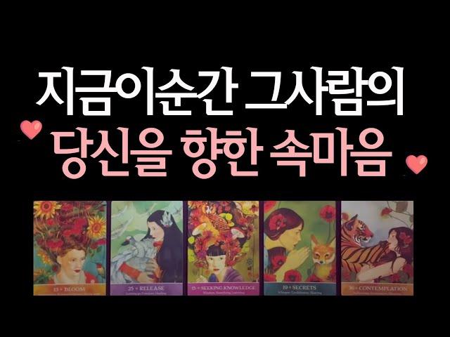 [연애타로] 지금 그사람의 속마음 알려드려요-짝사랑,애매한사이,연애,재회