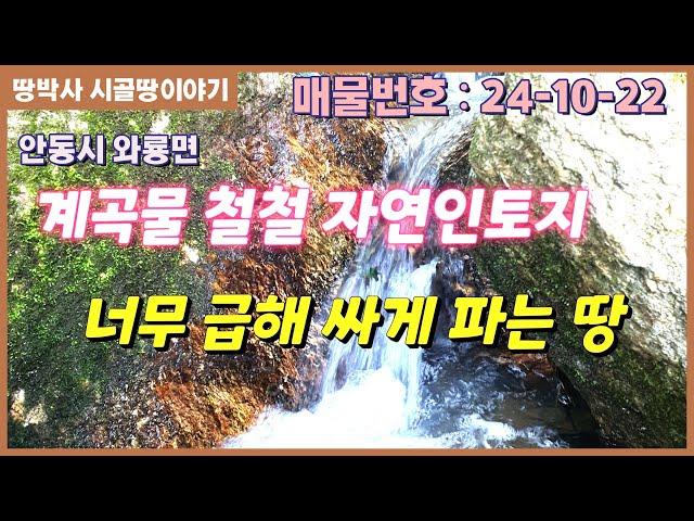 (24. 10. 22) 급매. 안동호 인근  저렴한 토지. 사정 임야는 덤!!