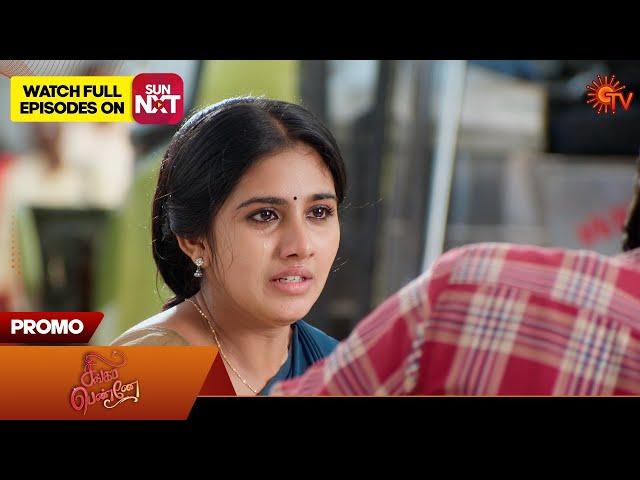 Singappenne - Promo | 22 Nov 2024 | Tamil Serial | Sun TV