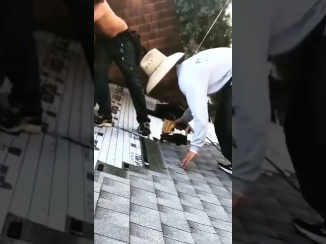 Fast roofer. #shorts #roof #roofer #roofing #roofershelper #nailgun #homeimprovement #contractor