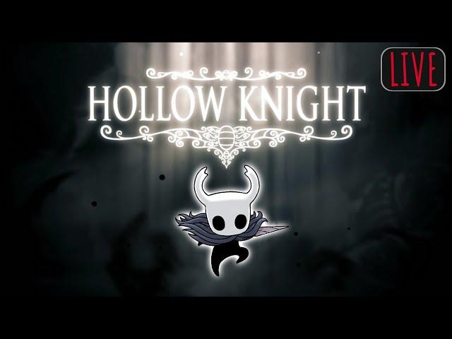 Hollow Knight | Day 53