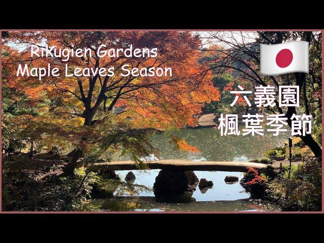 東京最適合又容易抵達賞楓葉的地方️六義園【Rikugien Gardens 六義園】