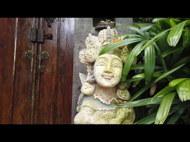 Walking Around Penestanan Village in Ubud, Bali, Indonesia / Walk 50