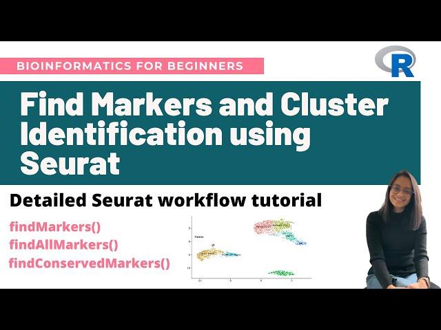 Find markers and cluster identification in single-cell RNA-Seq using Seurat | Workflow tutorial