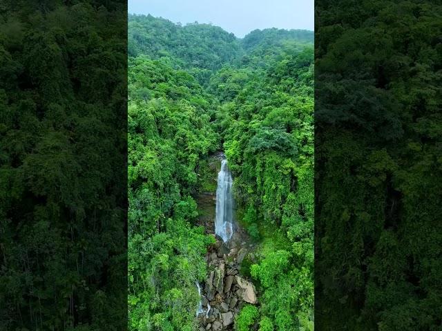 Our Green Sylhet.Video from Mr. Trap.