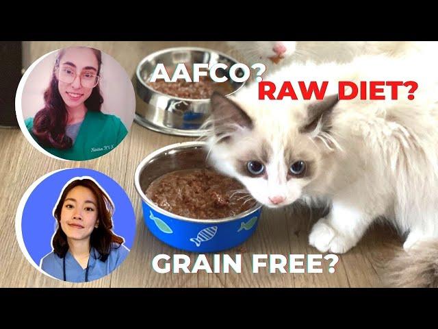 How to feed your pet | with Nutrition RVN