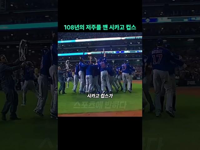 108년의 저주를 깬 시카고 컵스
