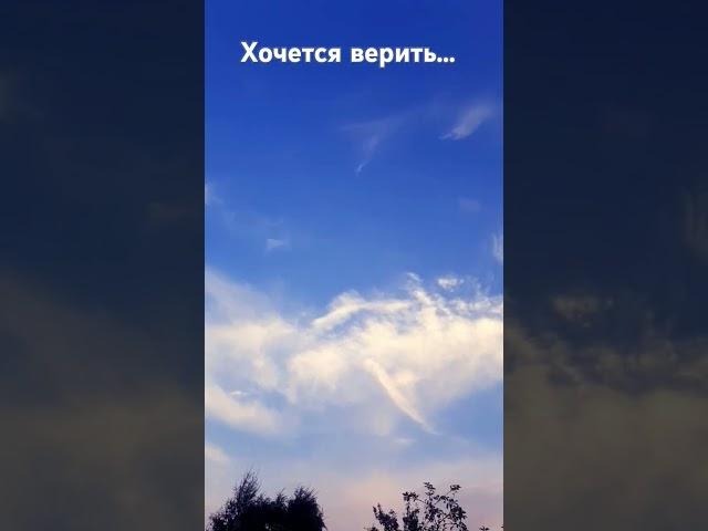 Хочется верить... #жизнь #мудрость #мысли #природа #небо #вера #цитатысосмыслом #цитаты