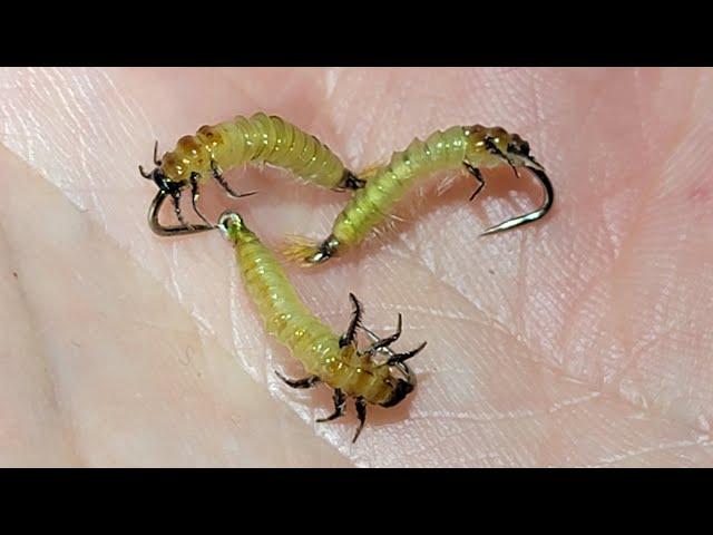 The Best Fishable Realistic Net Spinner Caddis Larva - Fly Tying