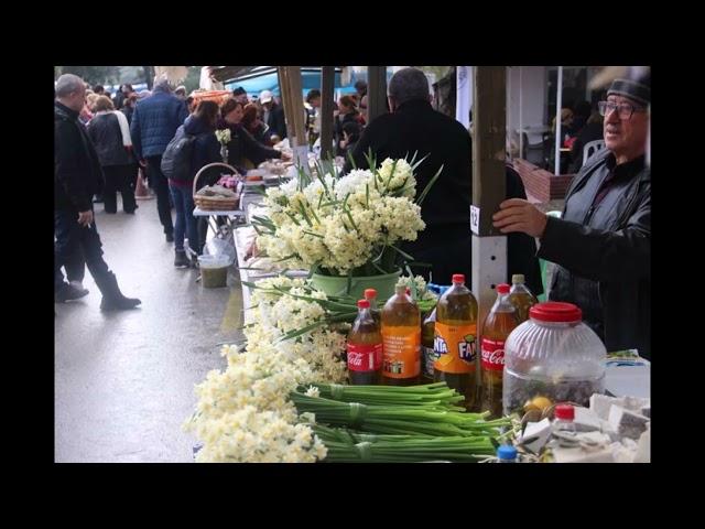 Karaburun Nergis Festivali