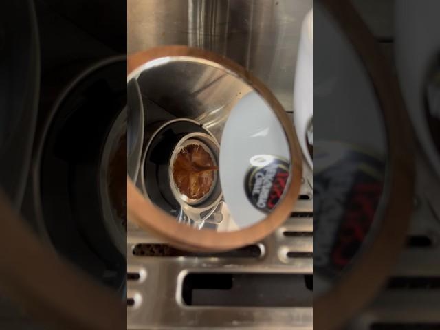 My morning espresso ritual