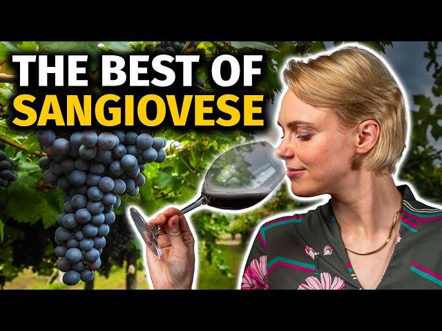 Discovering SANGIOVESE: Tasting the Terroirs of Chianti vs Brunello vs Vino Nobile Wines