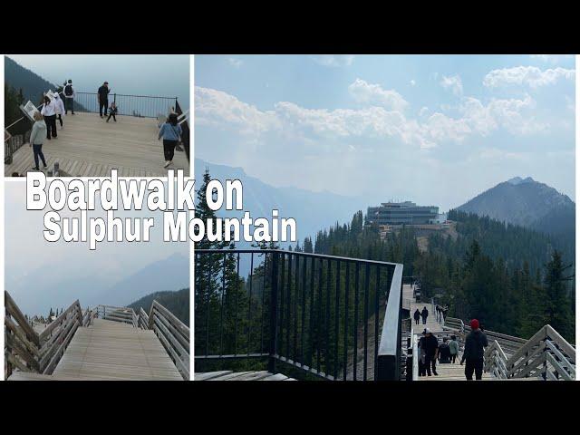 Boardwalk on Sulphur Mountain