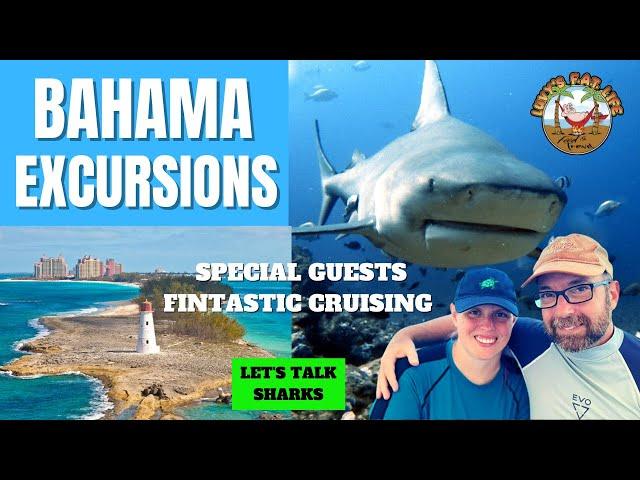 Nassau Bahama Excursions | Shark Talk With Fintastic Cruising | Luvy's FAT Life