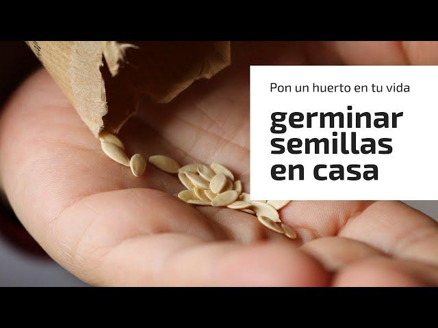 Germinar semillas en casa