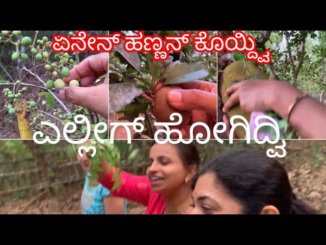 Village lifestyle ॥Kannada Vlog ॥ Kannada vlogs with Pratibha