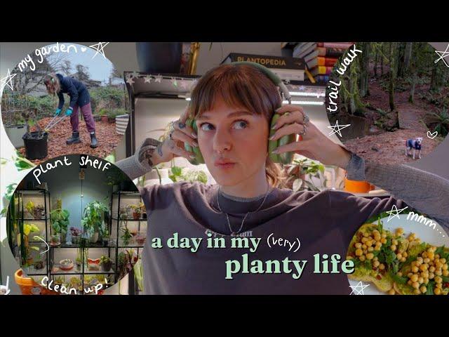  spend a day with me (a crazy plant lady )  plant shelf reset, garden clean up, & more!