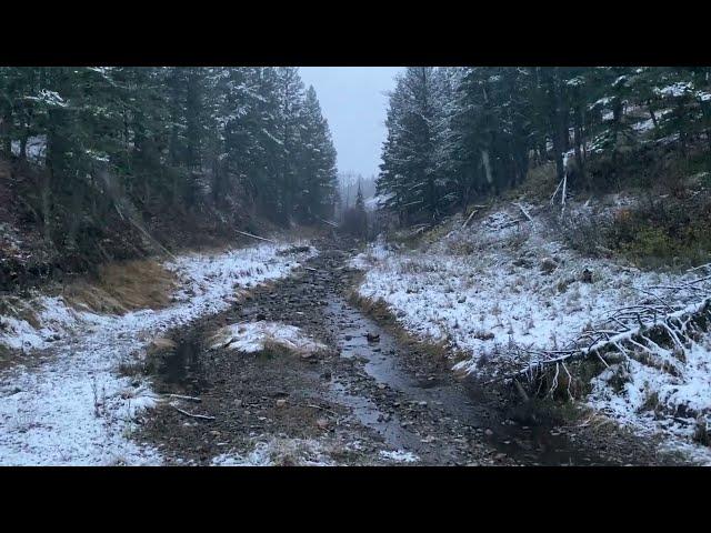 Montana mountain cabin for sale, view from creek / pond