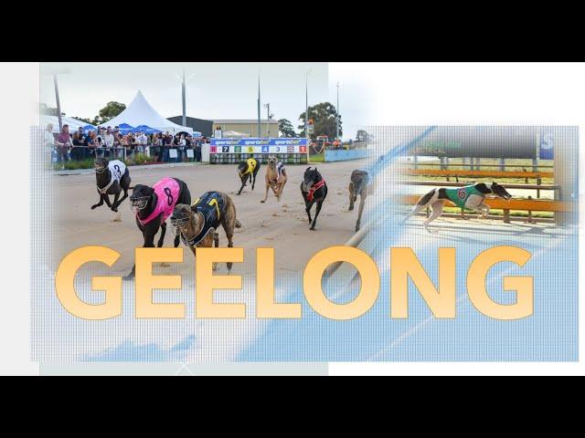 (MEMBERSHIP SAMPLING)  [ GEELONG ] Australian Greyhound Race Analysis