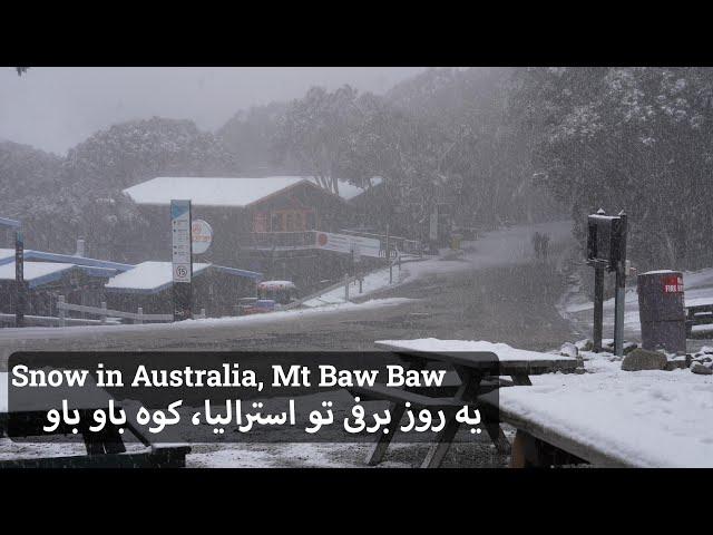 برف تو استرالیا، خواستیم بریم کوهنوری برف اومد! | Snowy Mount Baw Baw in Victoria, Australia