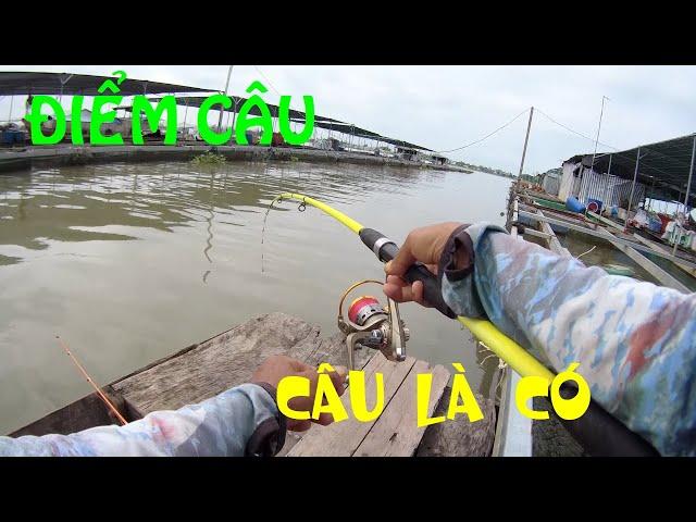 Fishing 295Câu Cá Dảnh Ngoài Bè Chổ Nào Câu Cũng Có Cá Hết Á Anh Em