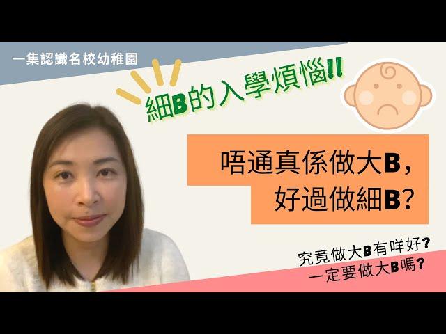 043  大B和細B點樣分？做大B有優勢？｜細B如何安排入名幼? ｜學之園唔收細B？｜大B一定會入到龍校幼稚園？｜幼稚園老師教你點計劃和部署 ﹝請開啟CC字幕﹞