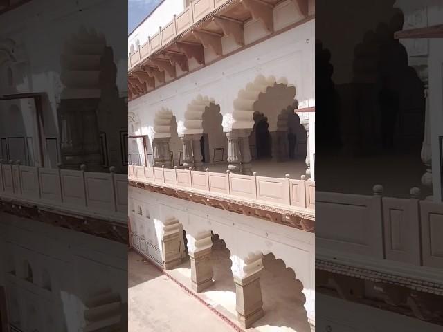 Karni Mata Vlog part 2#reach #balakila #heritage #rajasthani #rajasthan #alwar #Vlog@poonamkaur2328