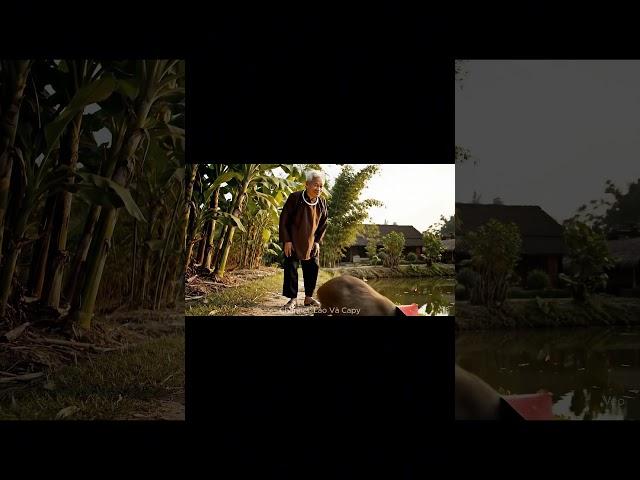 Lão Và Capy | Capybara phá làng phá xóm... #veo3 #viral #funny #laovacapy #spacemedia