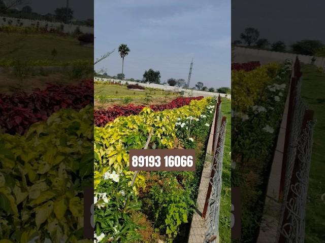 #Banglore highway open plots #open plots for sale in Bangalore highway #kothuru hmda open plots