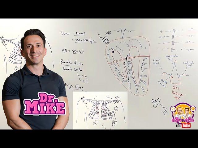 Understanding ECGs | From Placement to Interpretation