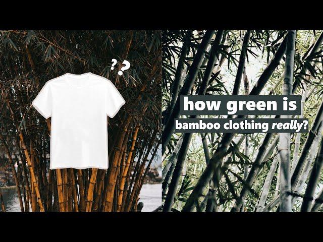 THE IMPACT OF BAMBOO + debunking green claims about bamboo clothing