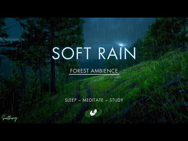 Soft Rain With Distant Thunder | NO MIDROLL ADS | Soothing Rain Sounds For Sleeping