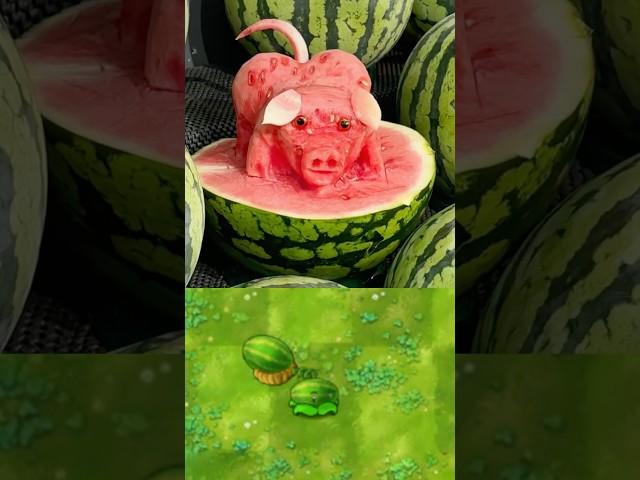 PVZ Plants in real life 