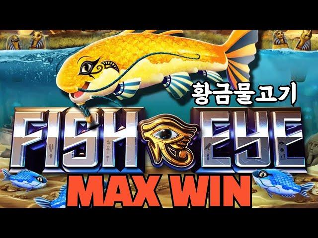 슬롯머신드디어 만났습니다 황금물고기FISH EYE (PRAGMATIC PLAY) 피씨아이