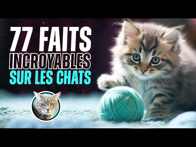 77 faits SURPRENANTS sur les CHATS !!! - Doc Seven