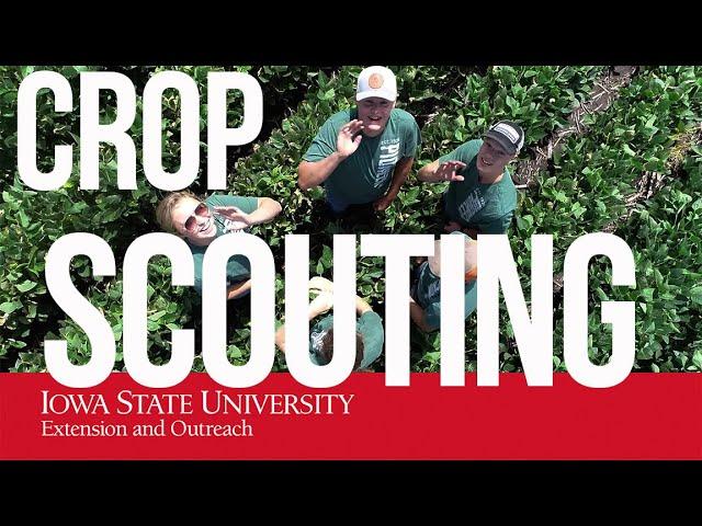 Crop Scouting Competition 2022 Video