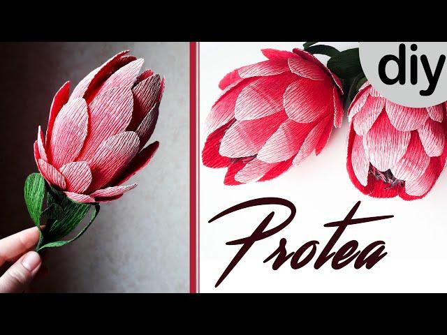 Протея своими руками / DIY protea