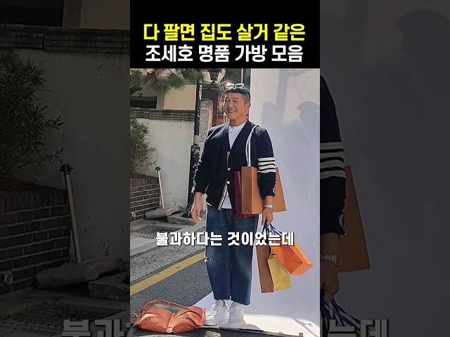 다 팔면 집도 살거 같은 조세호 명품 가방 모음