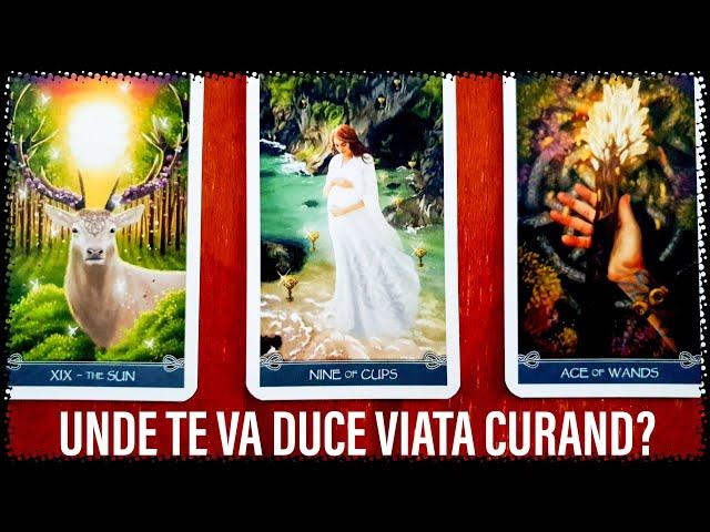 UNDE TE VA DUCE VIATA CURAND?️ TAROT pe zodii/interactiv