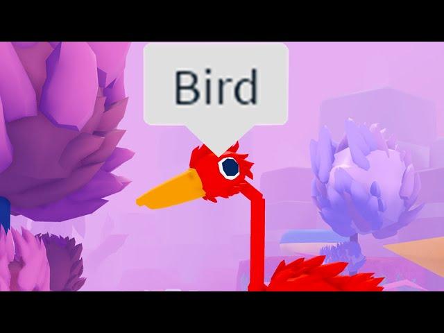 The Roblox Bird Experience