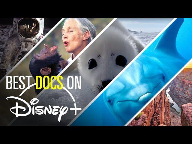 10 Must See Documentaries on Disney+ | MoviesWood