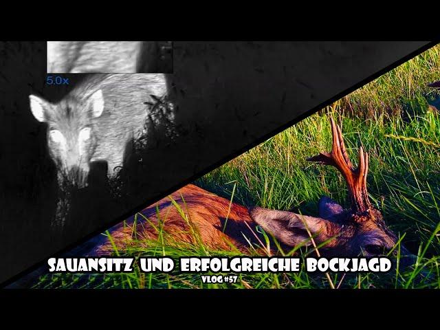 Sauansitz und erfolgreiche Bockjagd / RevierLeben // Vlog 57